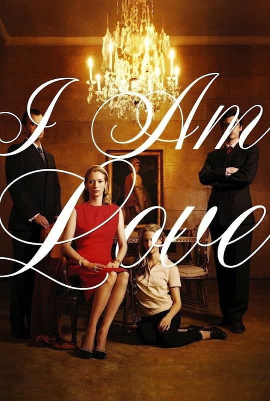 I Am Love (2009) movie poster