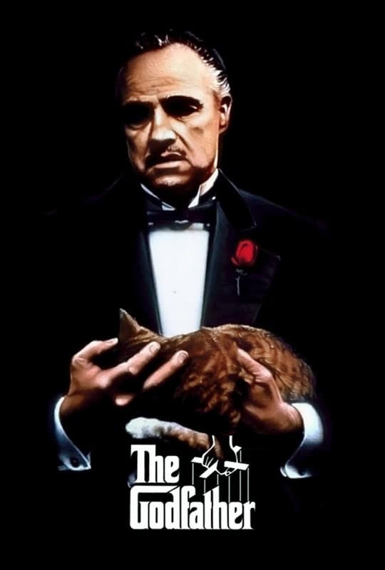 Il Padrino (1972) movie poster